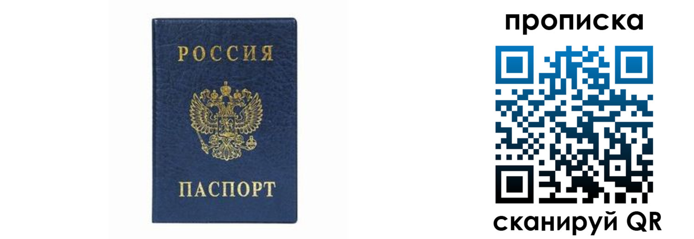временная регистрация поиск в Барыше